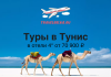 Туры в Тунис от 70900 все включено Promo banner for travelbelka.ru: desert camels on a white beach, blue sky, with Russian text “Туры в Тунис” and price line “в отели 4* от 70 900 ₽”